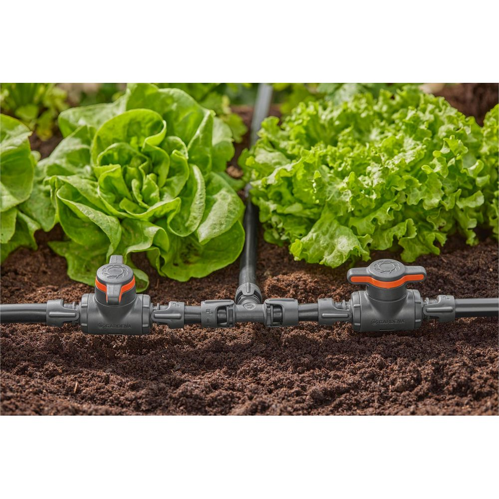 Sistema de riego con válvulas entre plantas de lechuga en tierra.