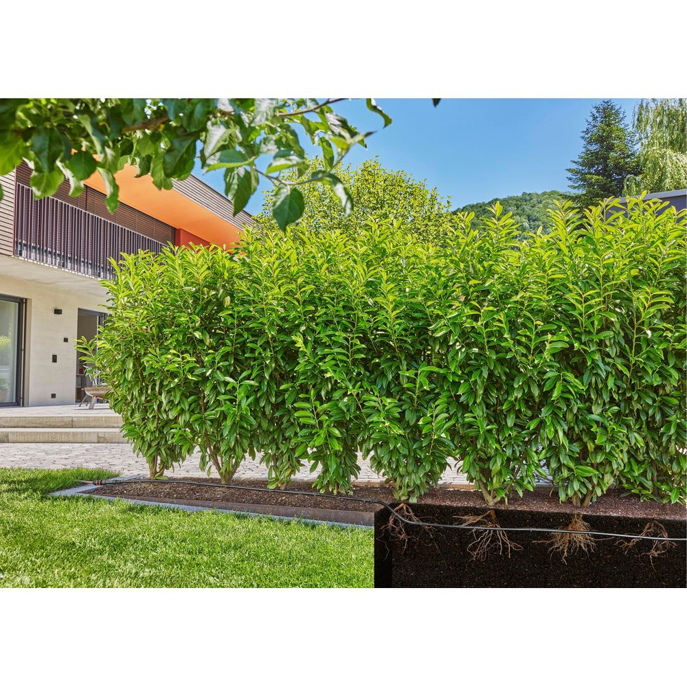 Eine grüne Hecke vor einem modernen Haus mit Balkon und Dach.
