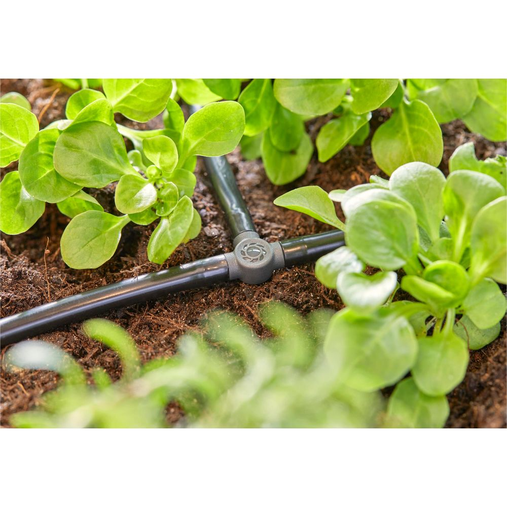 Druppelslang koppelt in de grond nabij kleine groene planten met weelderige bladeren.