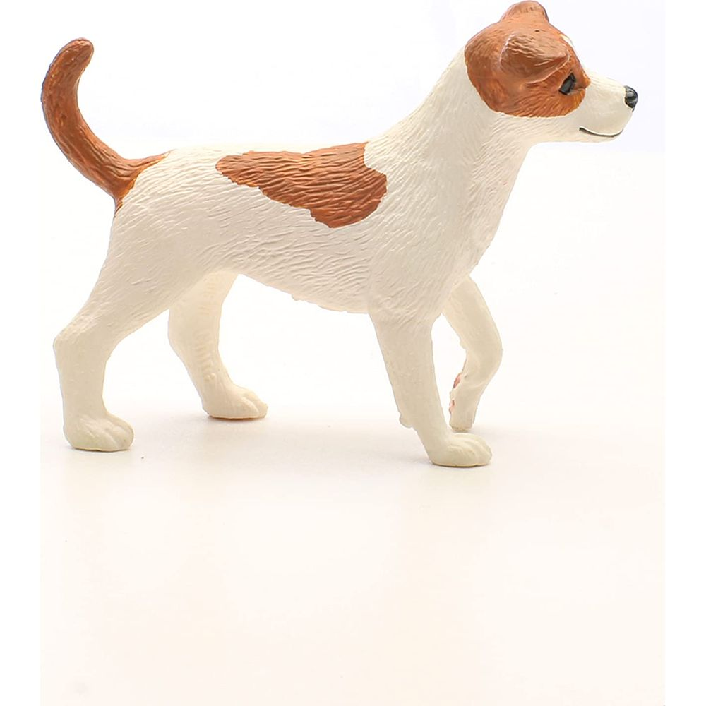 Ein weißer Hund mit braunen Flecken läuft auf weißem Hintergrund.