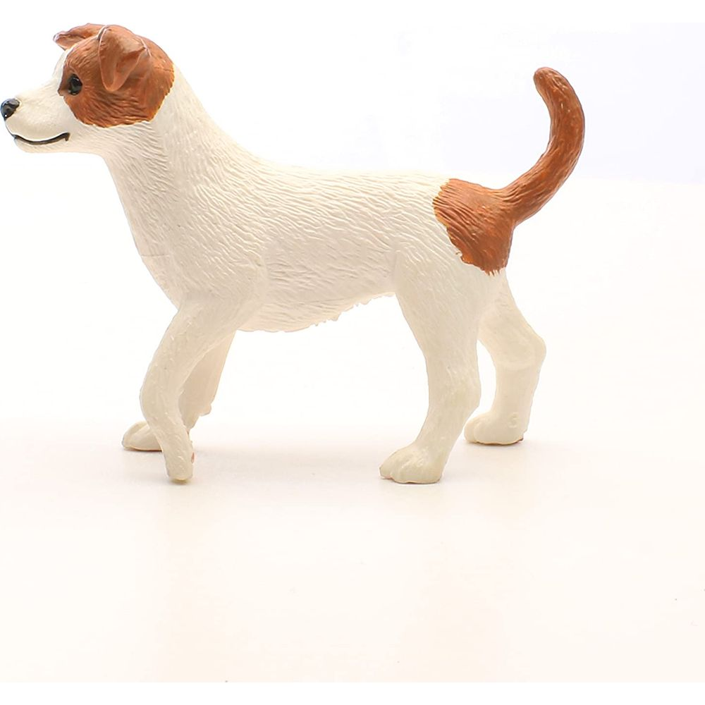 Ein weißer Hund mit braunen Flecken, steht auf weißem Grund.