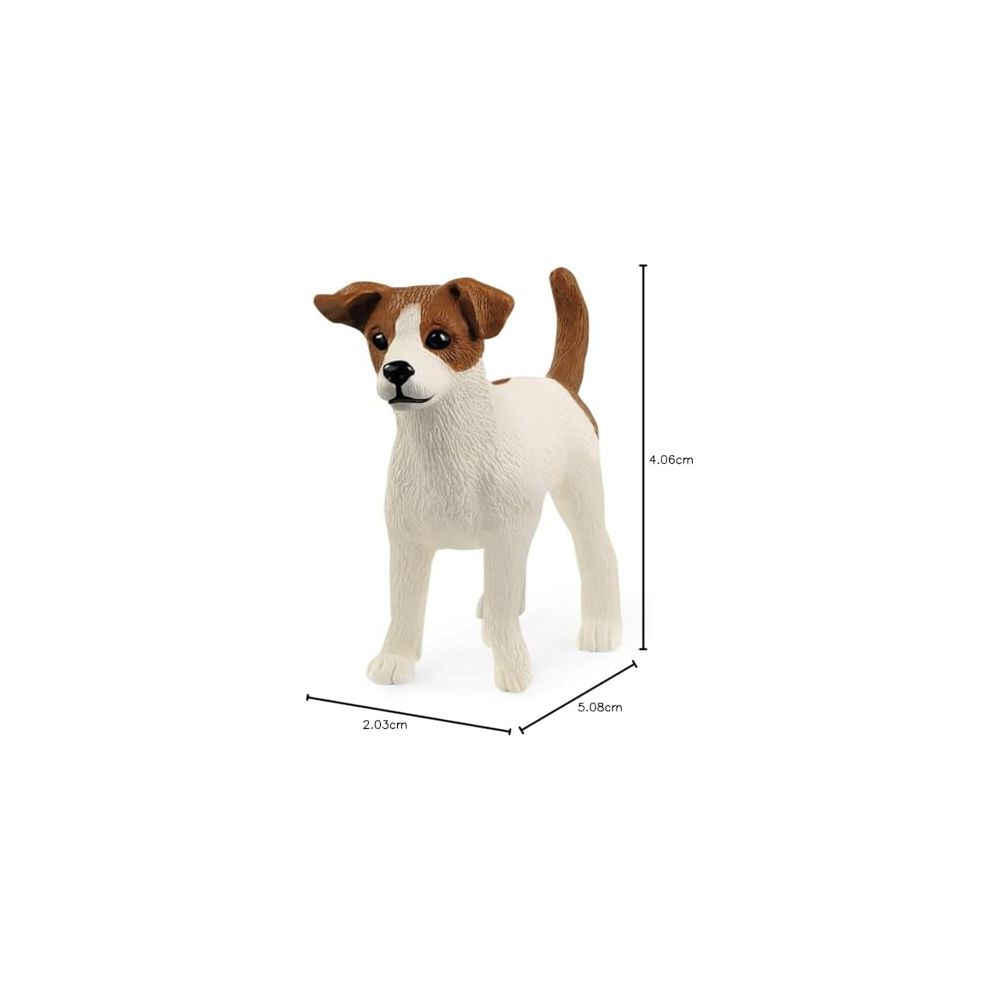 Ein weißer Hund mit braunen Flecken steht auf vier Beinen.