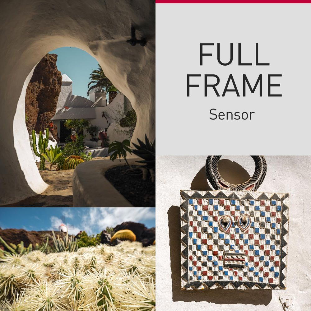 Collage mit drei Bildern: Garten durch Öffnung, Text "FULL FRAME Sensor", Maske.