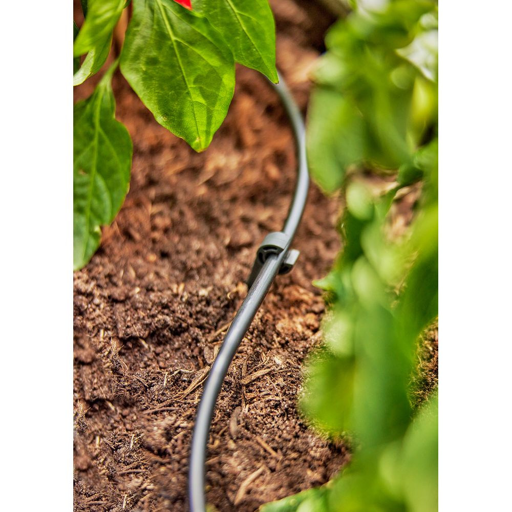 Wąż do nawadniania kropelkowego w brązowej ziemi obok zielonych liści.