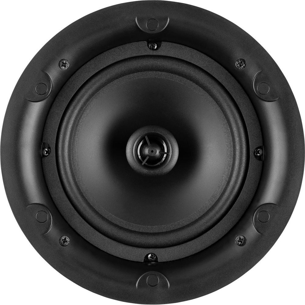 Un altavoz redondo negro de techo con cono y tweeter visibles.