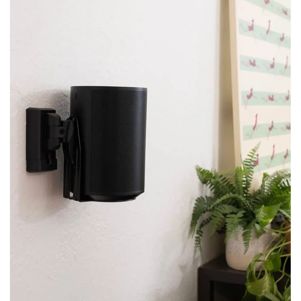 A black speaker is mounted on a white wall next to a plant and framed art.