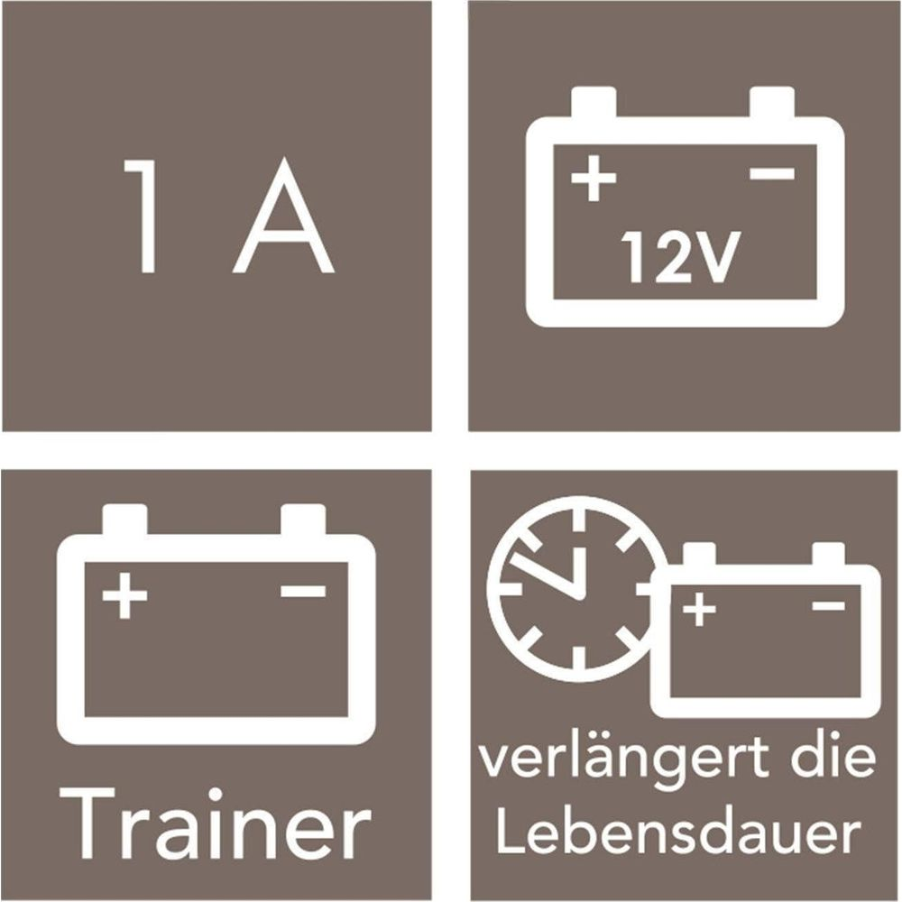 Vier Symbole: 1 A, 12V Batterie, Trainer, Batterie mit Uhr verlängert Lebensdauer.