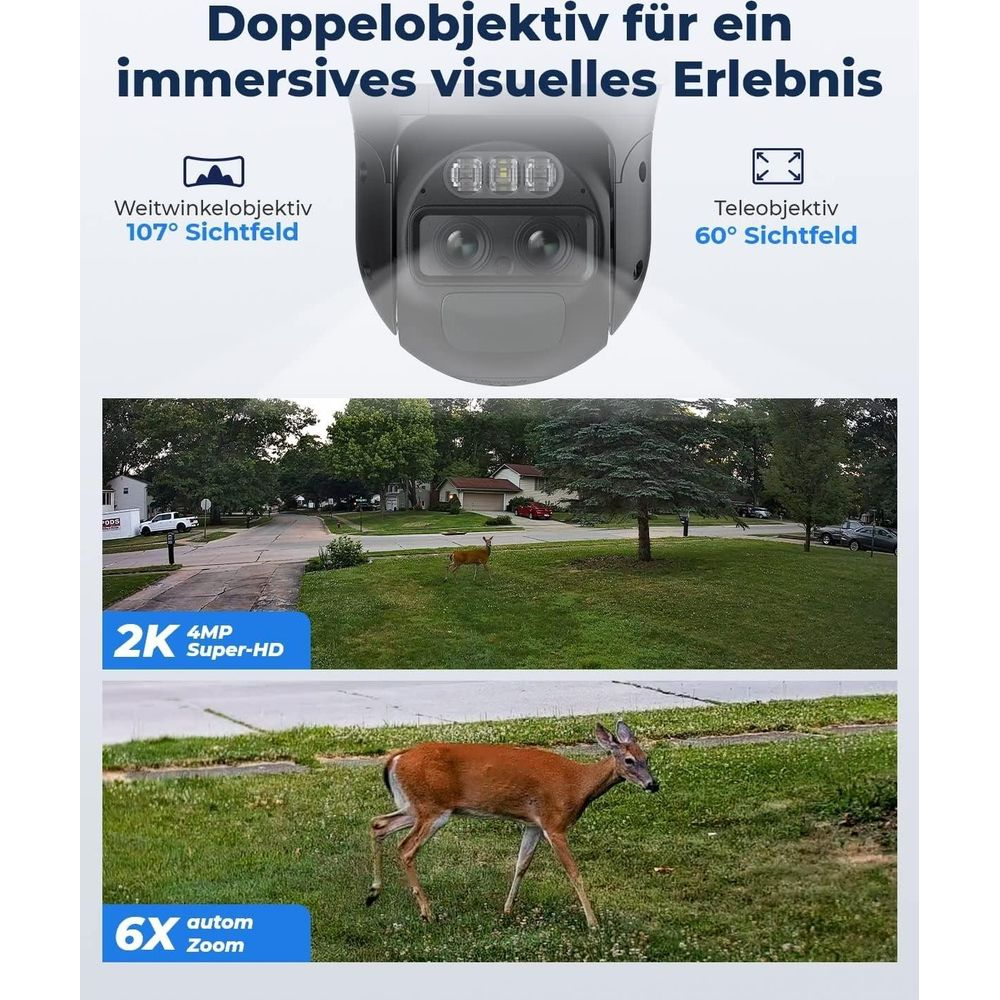 Kamera z dwoma obiektywami pokazuje dwa jelenie w dzielnicy mieszkalnej w dzień.