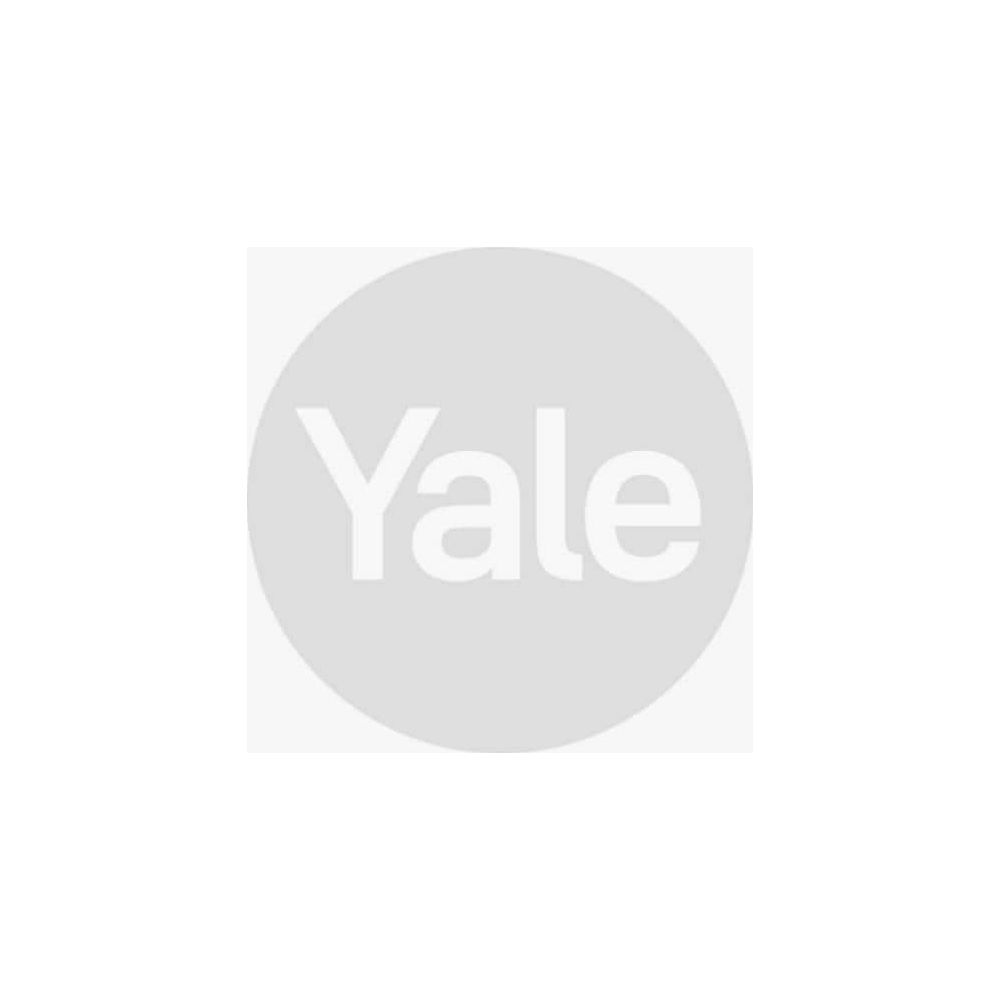 Szare koło z białym napisem Yale pośrodku.