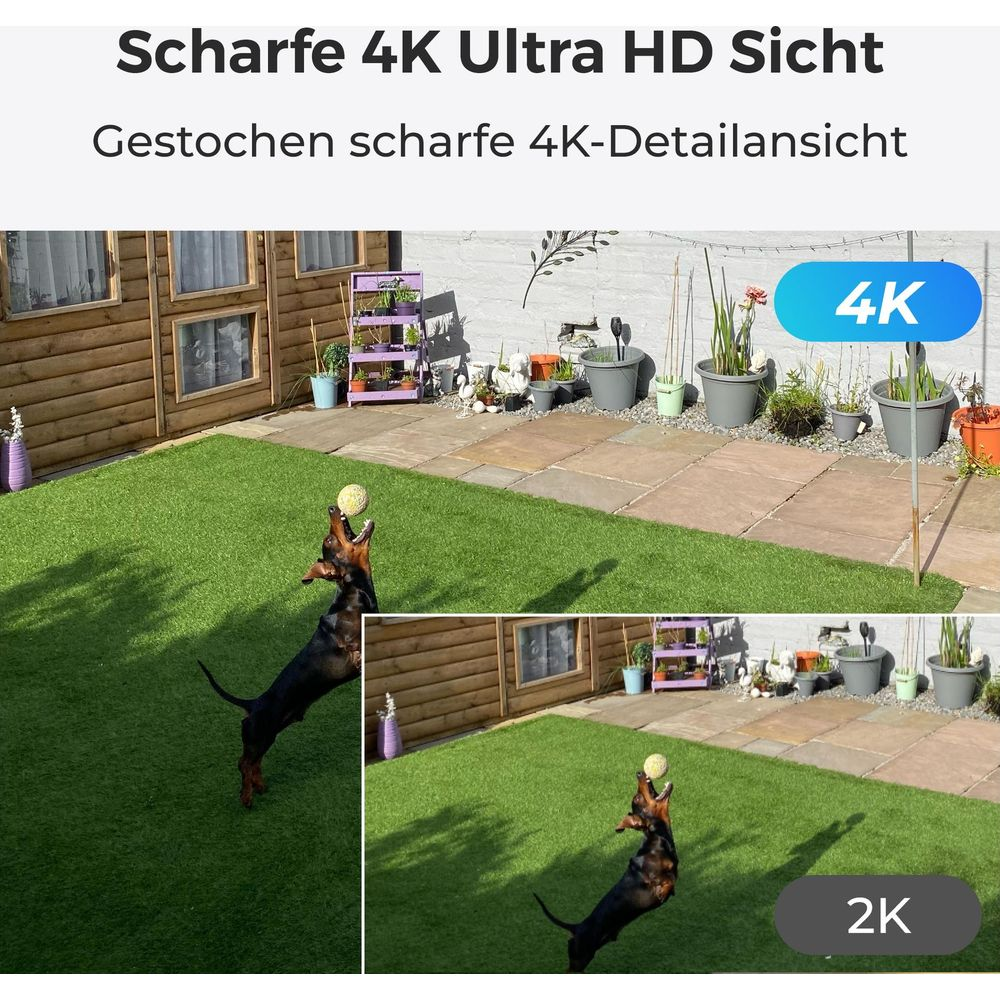 Pies skacze po piłkę na sztucznej trawie obok tarasu.