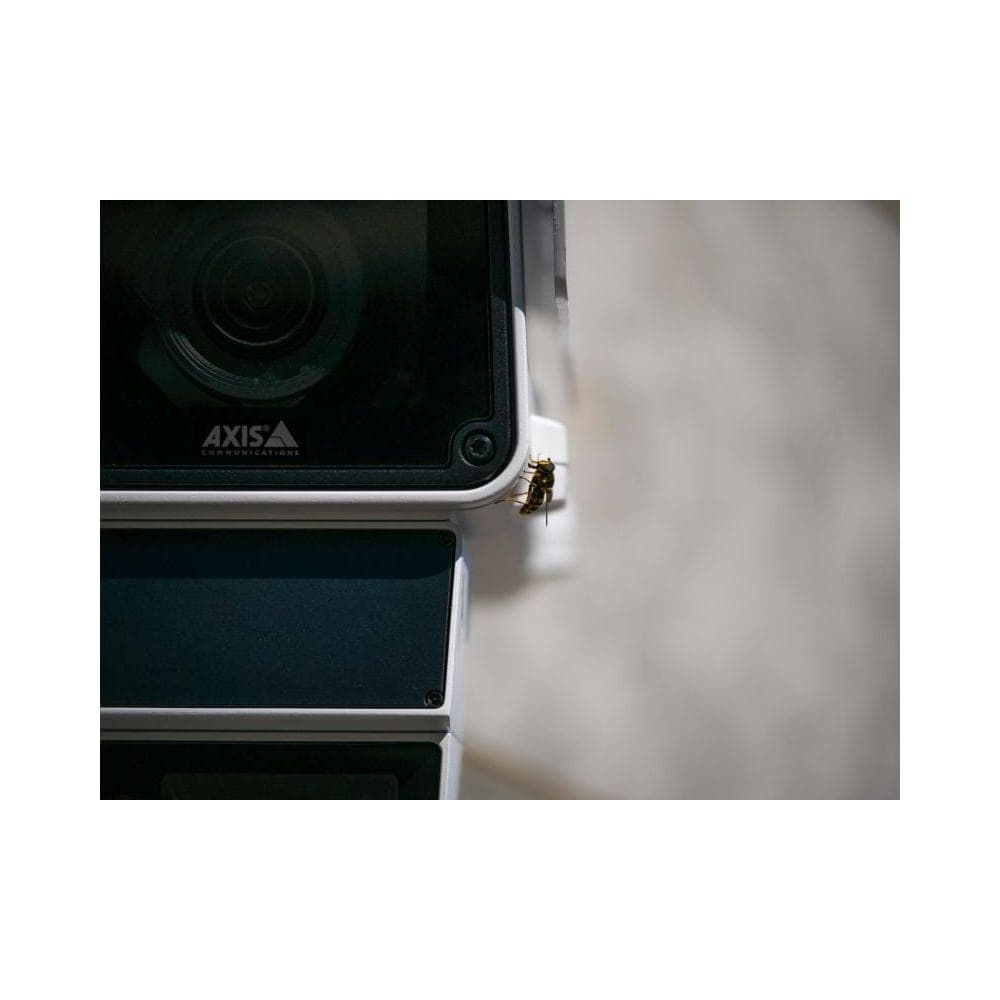 Pszczoła siedzi na kamerze bezpieczeństwa z logo AXIS.