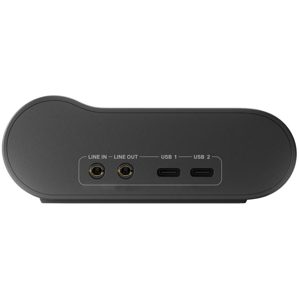 Schwarzes Audiogerät mit Line-In/Out-Anschlüssen und zwei USB-Anschlüssen.