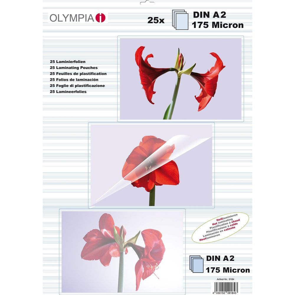 Verpackung für DIN A2 Laminierfolien mit roten Amaryllis-Blüten.