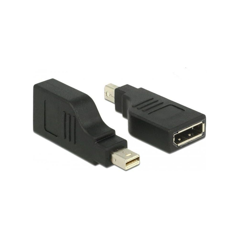 Twee zwarte adapters, één met Mini DisplayPort-stekker, de ander met USB-aansluiting.