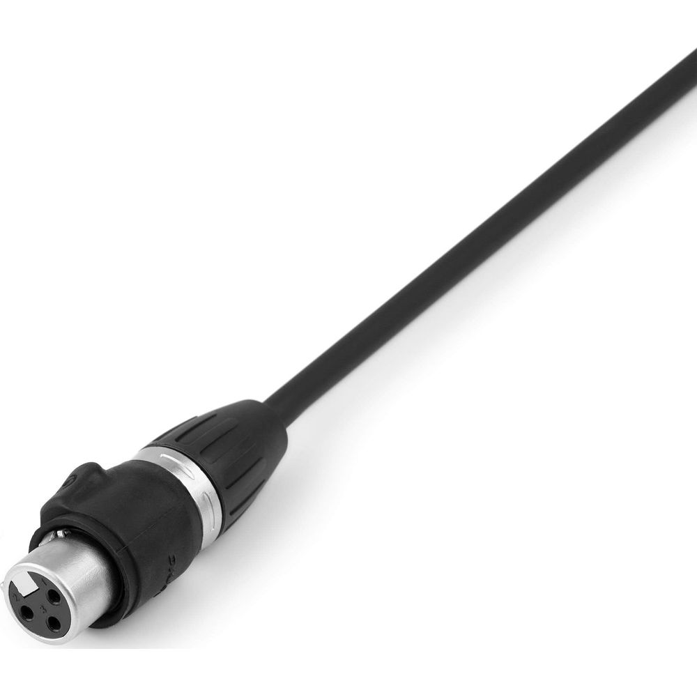 Un cable XLR negro con conector plateado sobre fondo blanco.