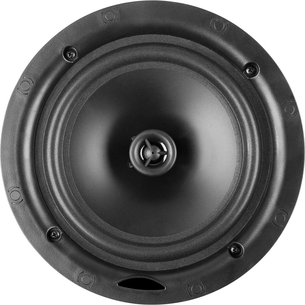 Un altavoz redondo negro con un tweeter central y tornillos en el borde.