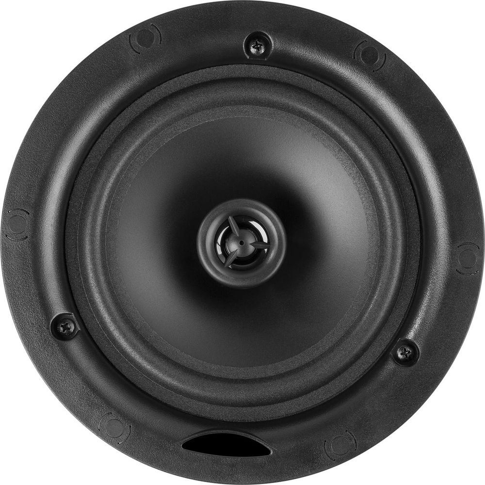 Altavoz redondo negro con cono y tweeter visibles. Tornillos en el borde.
