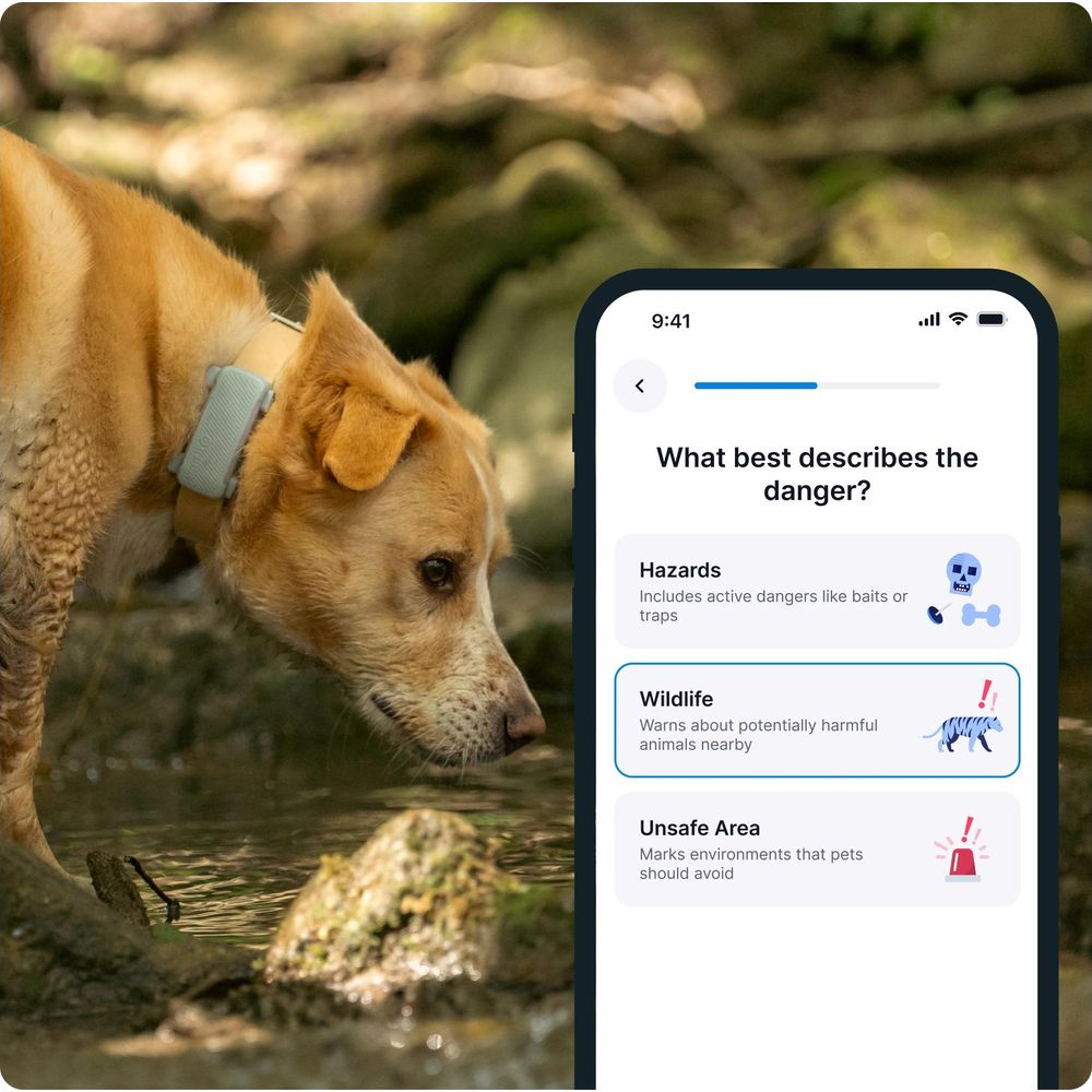 Pies z obrożą na zewnątrz, obok smartfona pokazującego opcje zagrożeń.