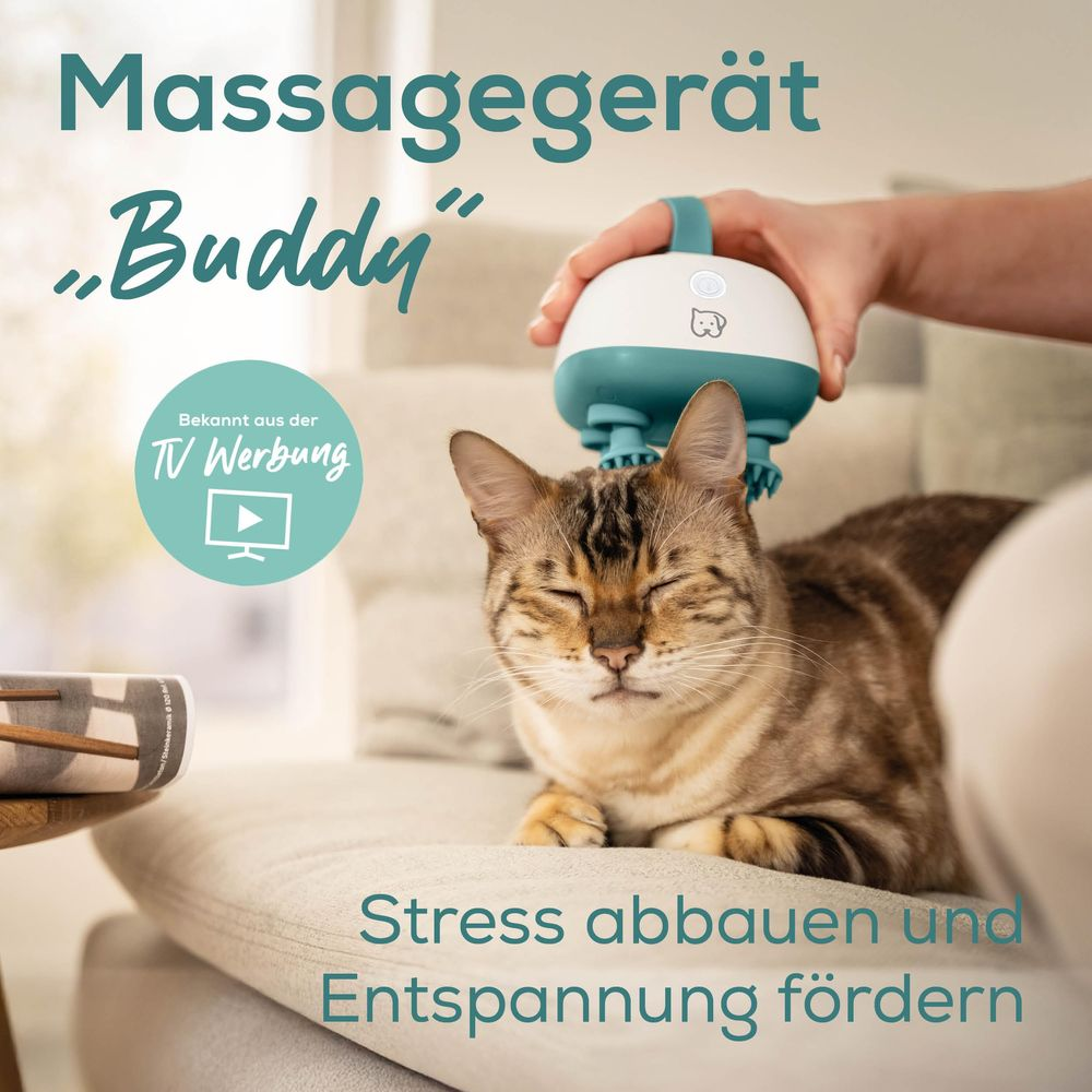 Katze wird mit einem Massagegerät am Kopf massiert.
