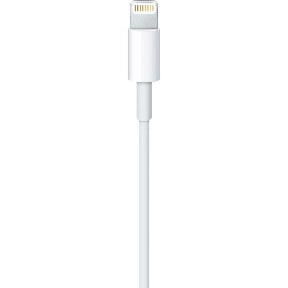 Un cavo lightning bianco con connettore argentato