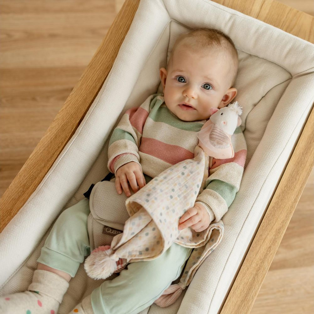 Un bébé est allongé dans un couffin avec un jouet en peluche et une couverture.