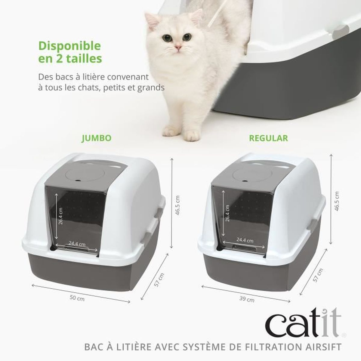 Un gatto bianco accanto a due lettiere: Jumbo e Regular.