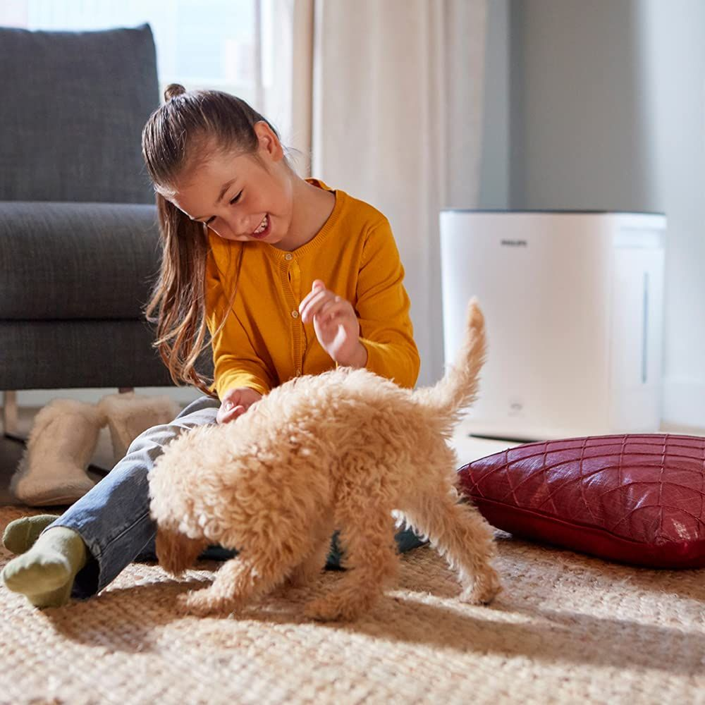 Una bambina gioca con un cucciolo in un soggiorno con un purificatore d'aria.