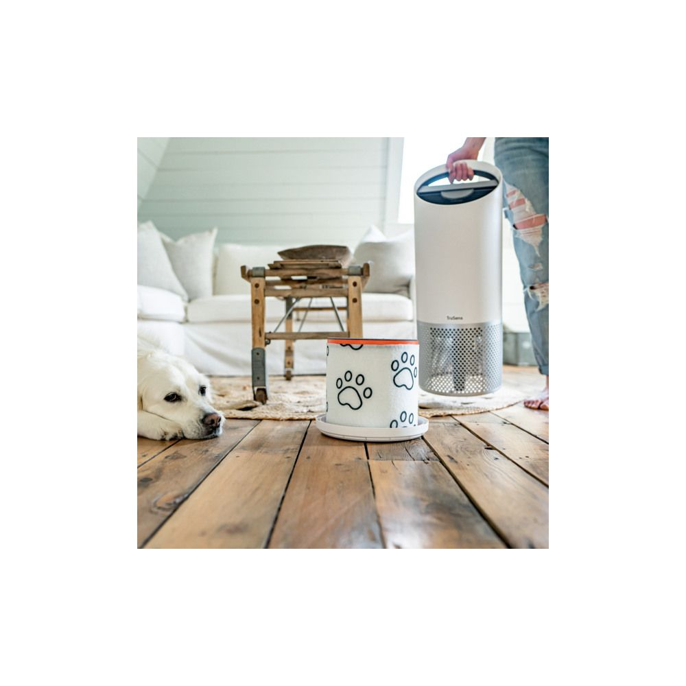 Pies leży na drewnianej podłodze obok oczyszczacza powietrza i doniczki z odciskami łap.