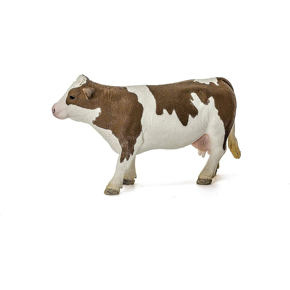 Brązowo-biała krowa stoi na białym tle.