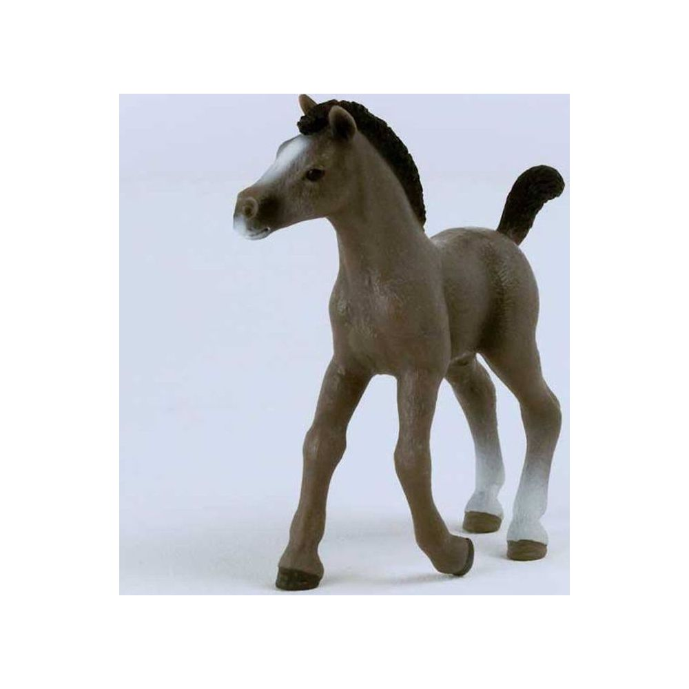 Brązowy źrebię z białą gwiazdką i ciemną grzywą stoi.