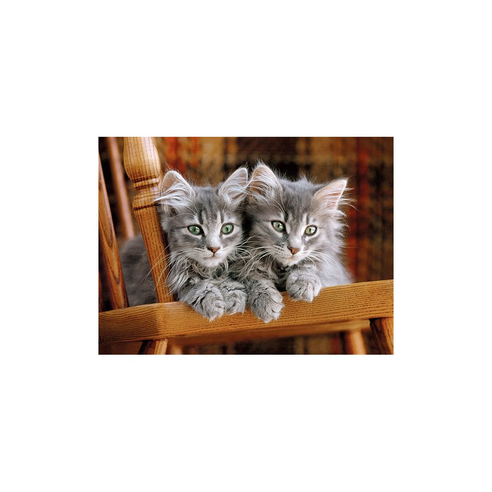 Dwa szare kociaki z zielonymi oczami siedzą na drewnianym krześle.