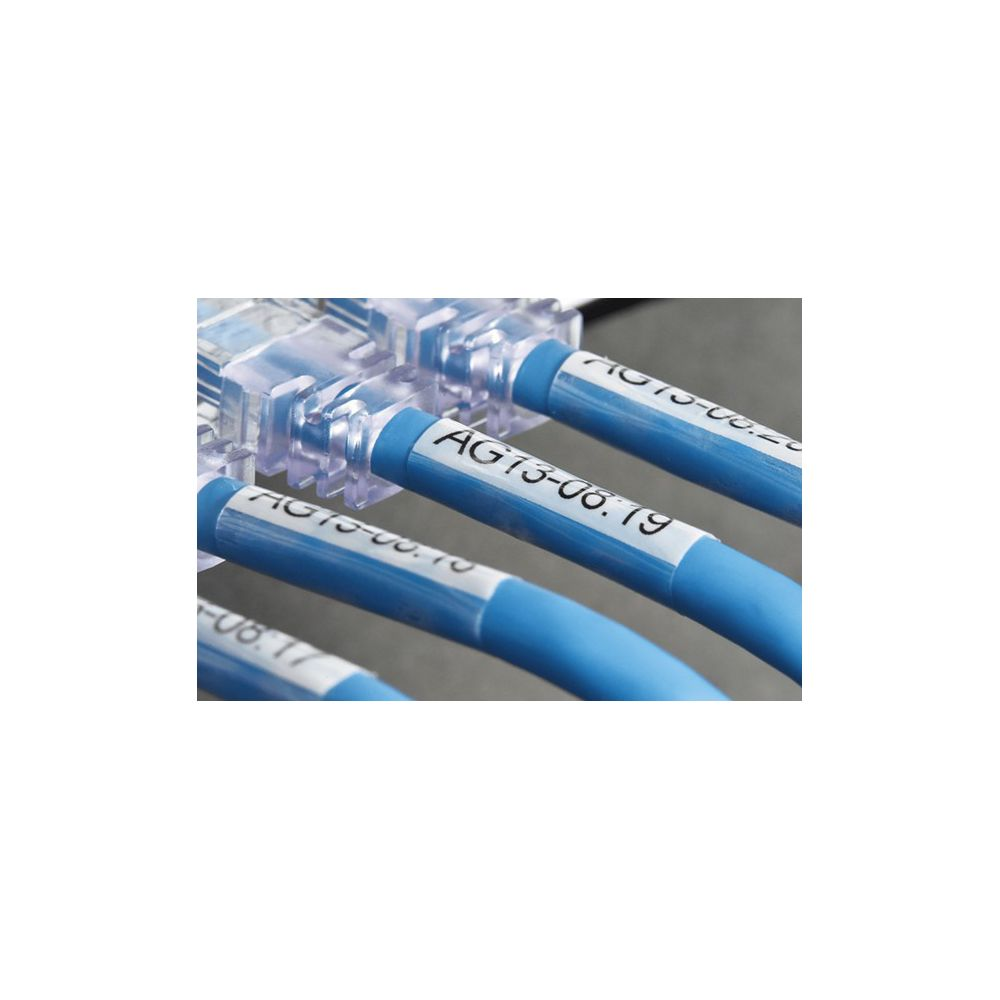 Blaue Netzwerkkabel mit Beschriftung sind in einen transparenten Stecker eingesteckt.