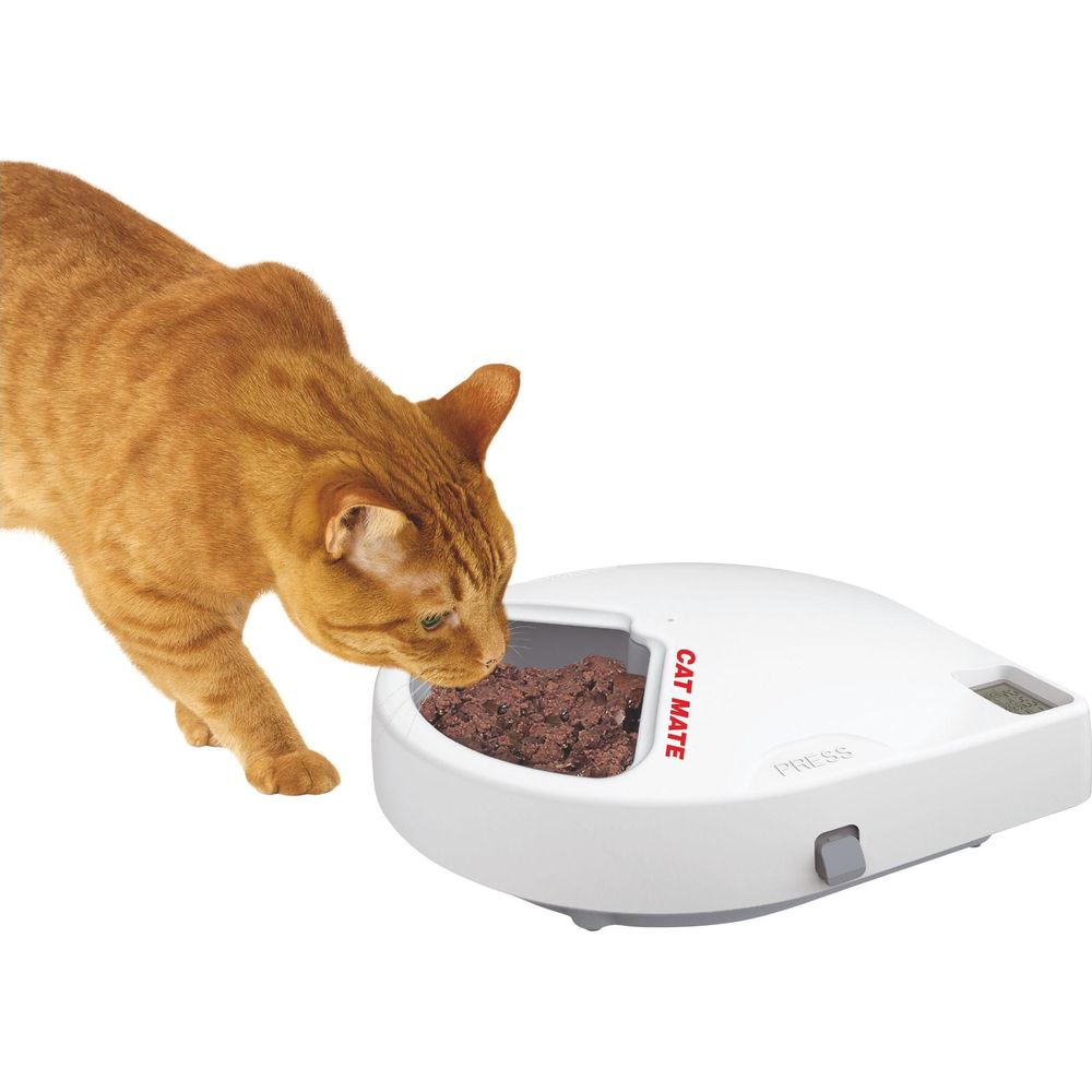 Eine orangefarbene Katze frisst aus einem weißen Futterautomaten mit der Aufschrift "CAT MATE".