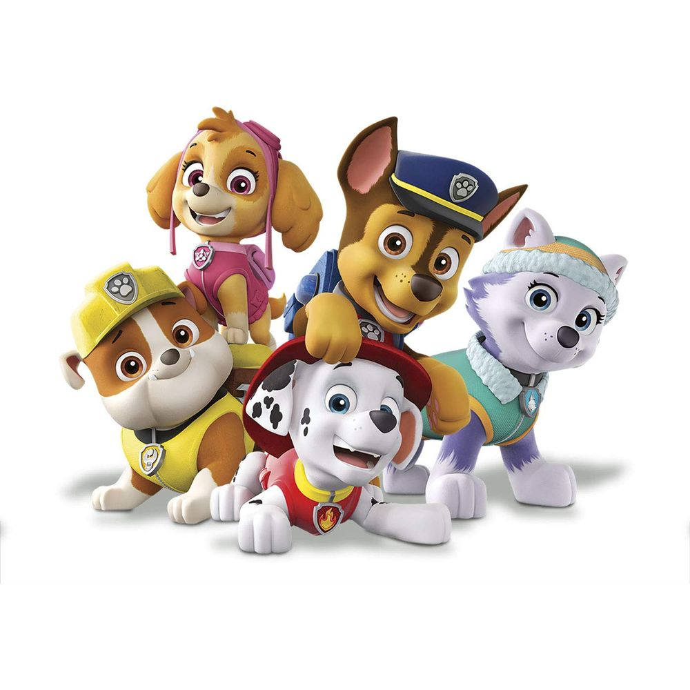 Cinque cani animati in uniforme: Chase, Marshall, Skye, Rubble ed Everest.