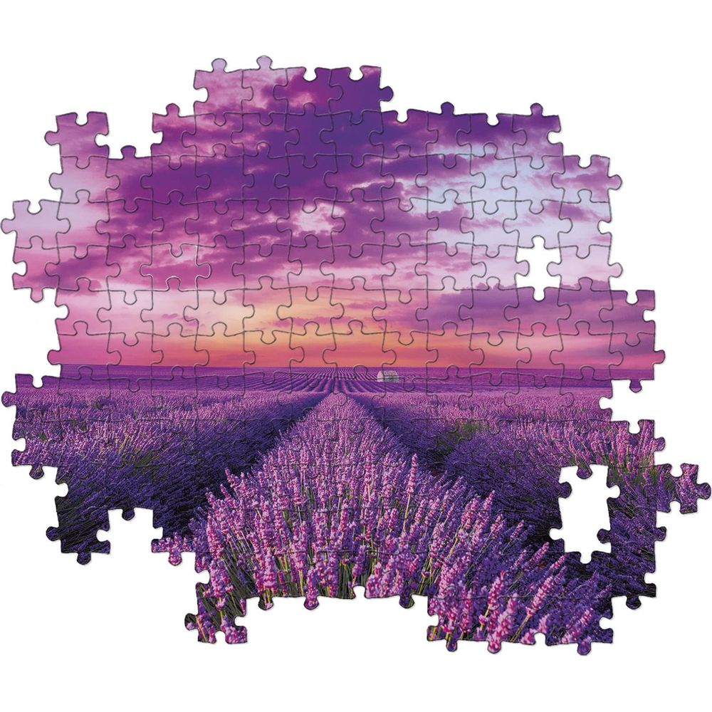 Campo de lavanda al atardecer con nubes dramáticas.