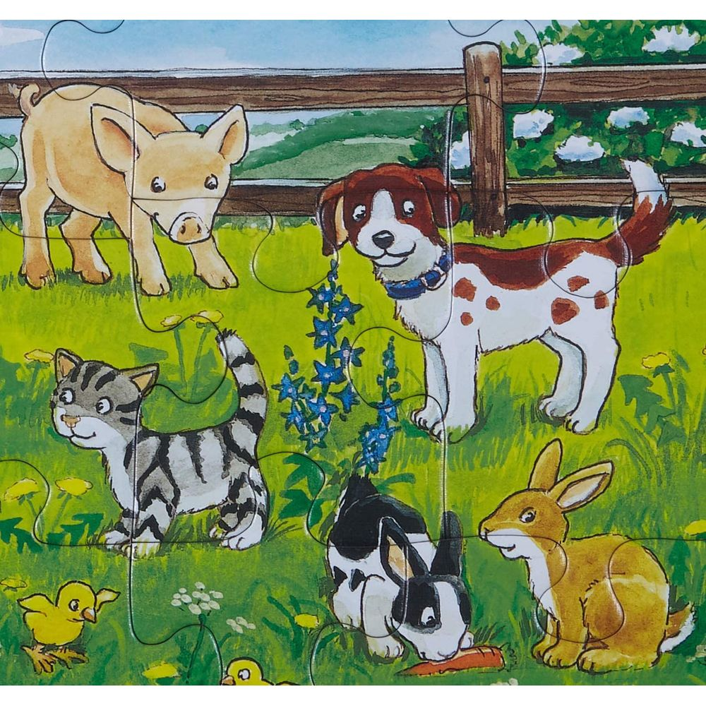 Zwierzęta wiejskie: świnia, pies, kot, królik, króliki i pisklęta na trawie.