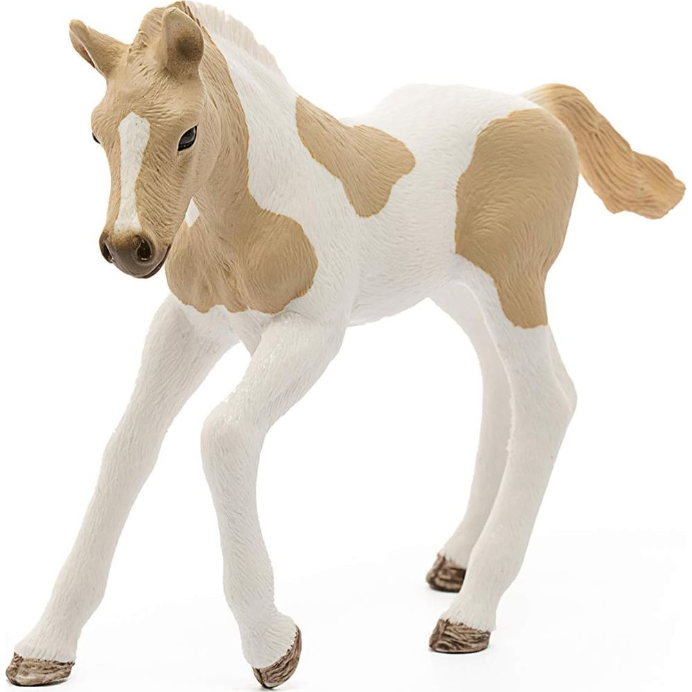 Białe źrebię z brązowymi plamami stoi z profilu.