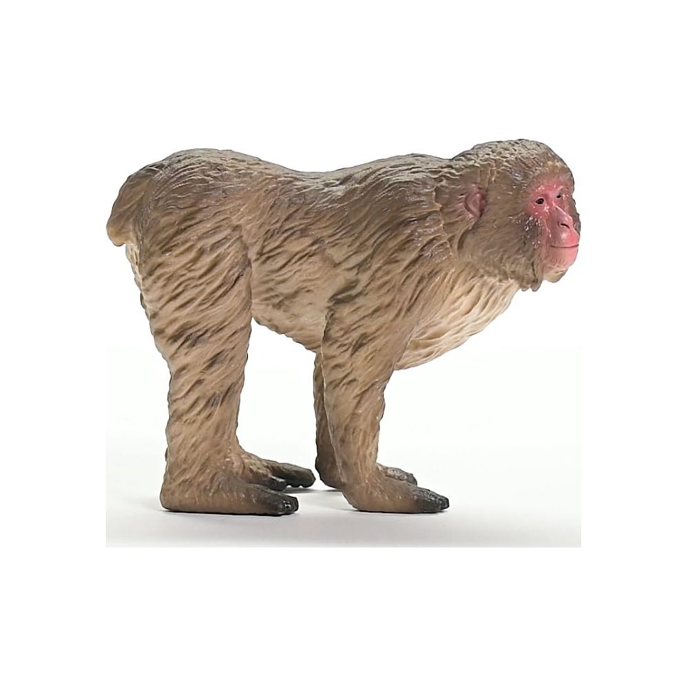 Brązowa małpa z czerwoną twarzą na białym tle.