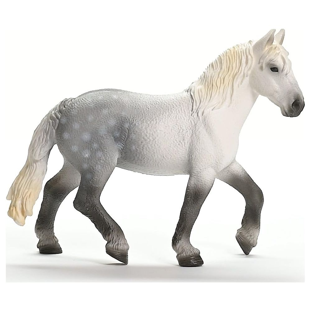 Szary koń z jasną grzywą i ciemniejszymi nogami idzie.