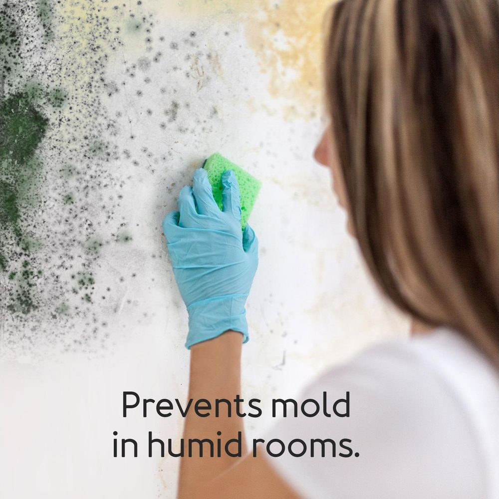 Eine Person mit Handschuhen reinigt schimmelige Wand mit Schwamm.