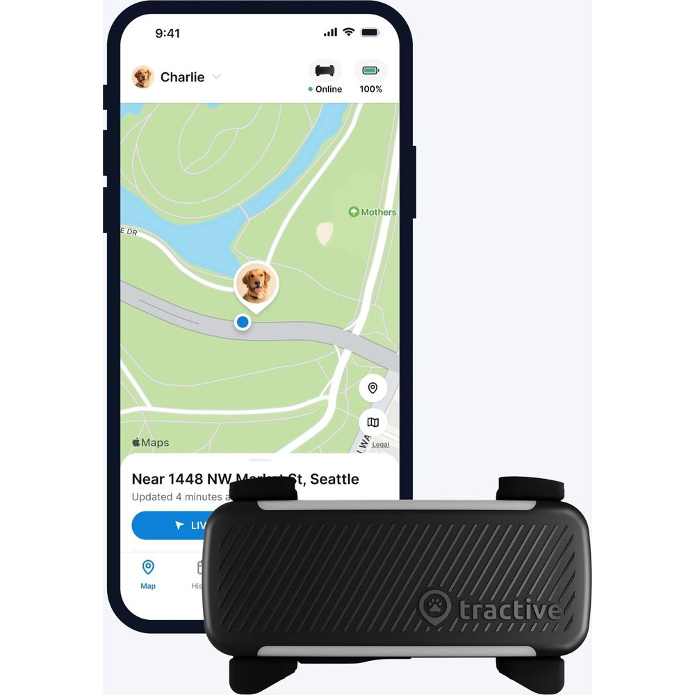 Aplikacja na telefonie pokazuje mapę z lokalizacją psa. Obok znajduje się lokalizator Tractive.
