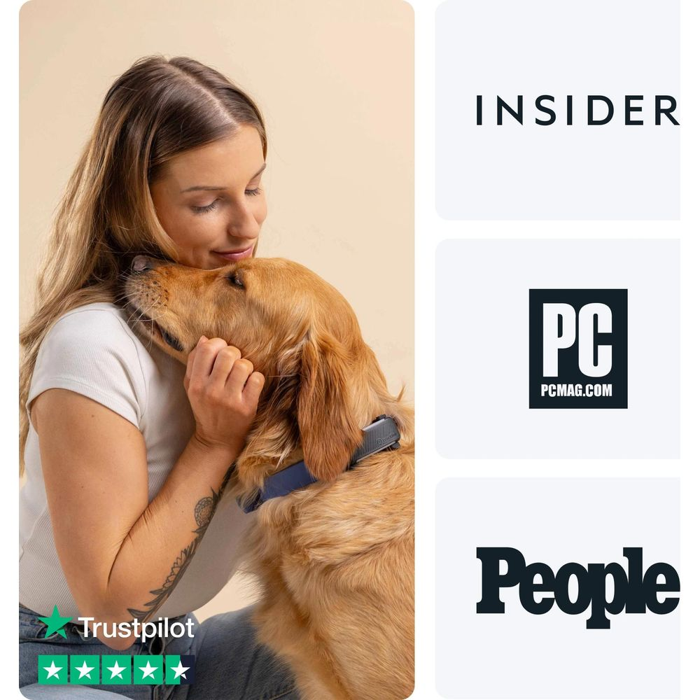 Kobieta przytula golden retrievera z niebieską obrożą na beżowym tle.