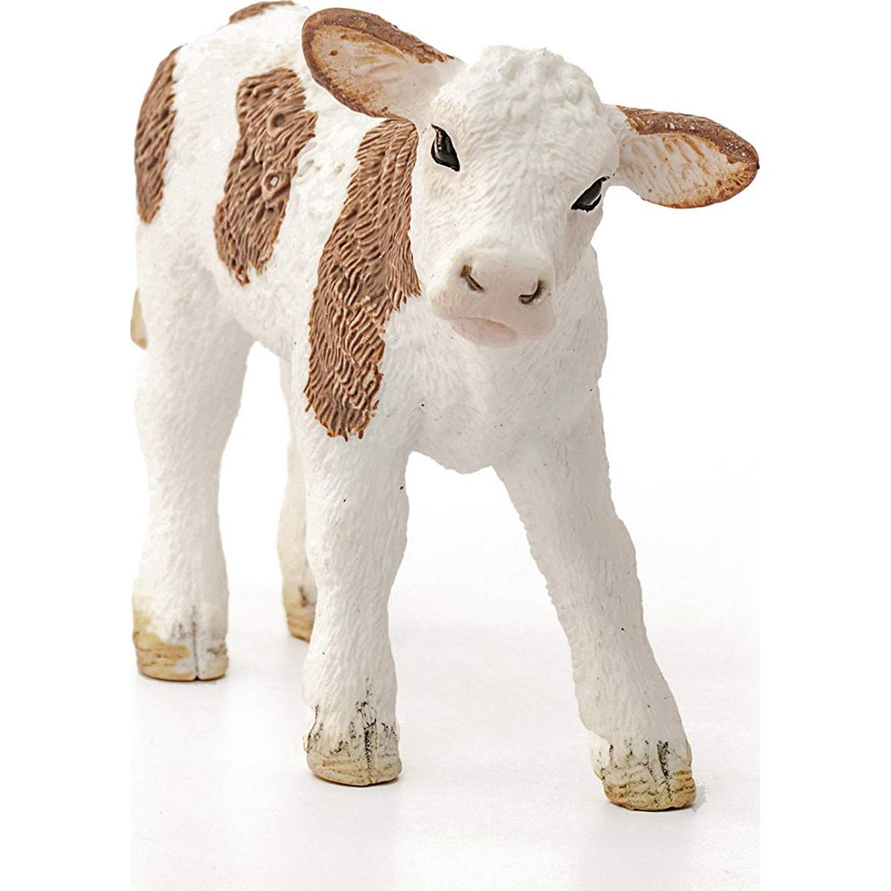 Białe cielę z brązowymi łatami stoi na białym tle.