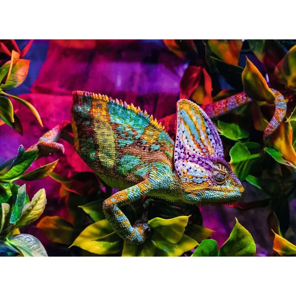 Un caméléon coloré perché sur une branche au milieu d'un feuillage vibrant.