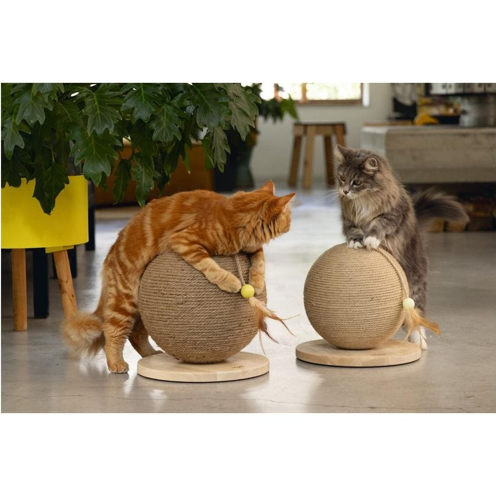 Zwei Katzen, eine orange und eine grau getigerte, sitzen auf Kratzbällen.