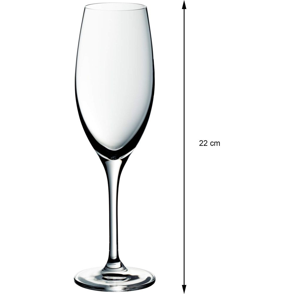 Ein schlankes Sektglas auf weißem Hintergrund, 22 cm hoch.