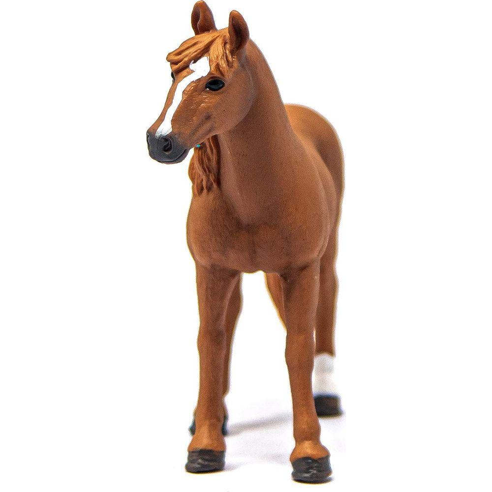 Brązowy koń z białą gwiazdką na czole stoi na białym tle.