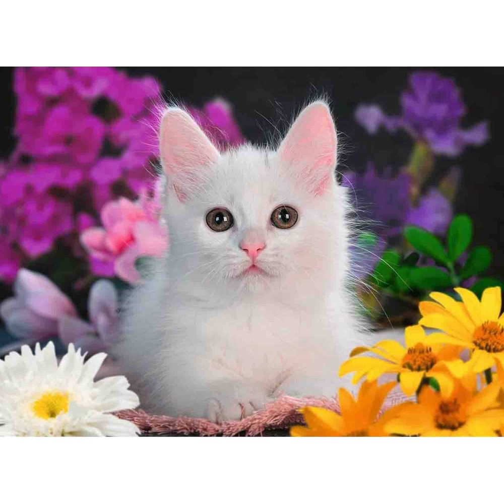 Eine weiße Katze sitzt inmitten von bunten Blumen, darunter gelbe Margeriten und lila Blüten.