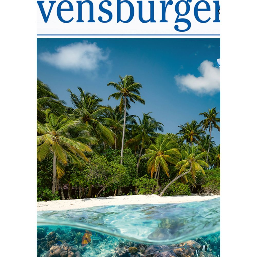 Tropikalna wyspa z palmami, białym piaskiem i podwodną rafą koralową.