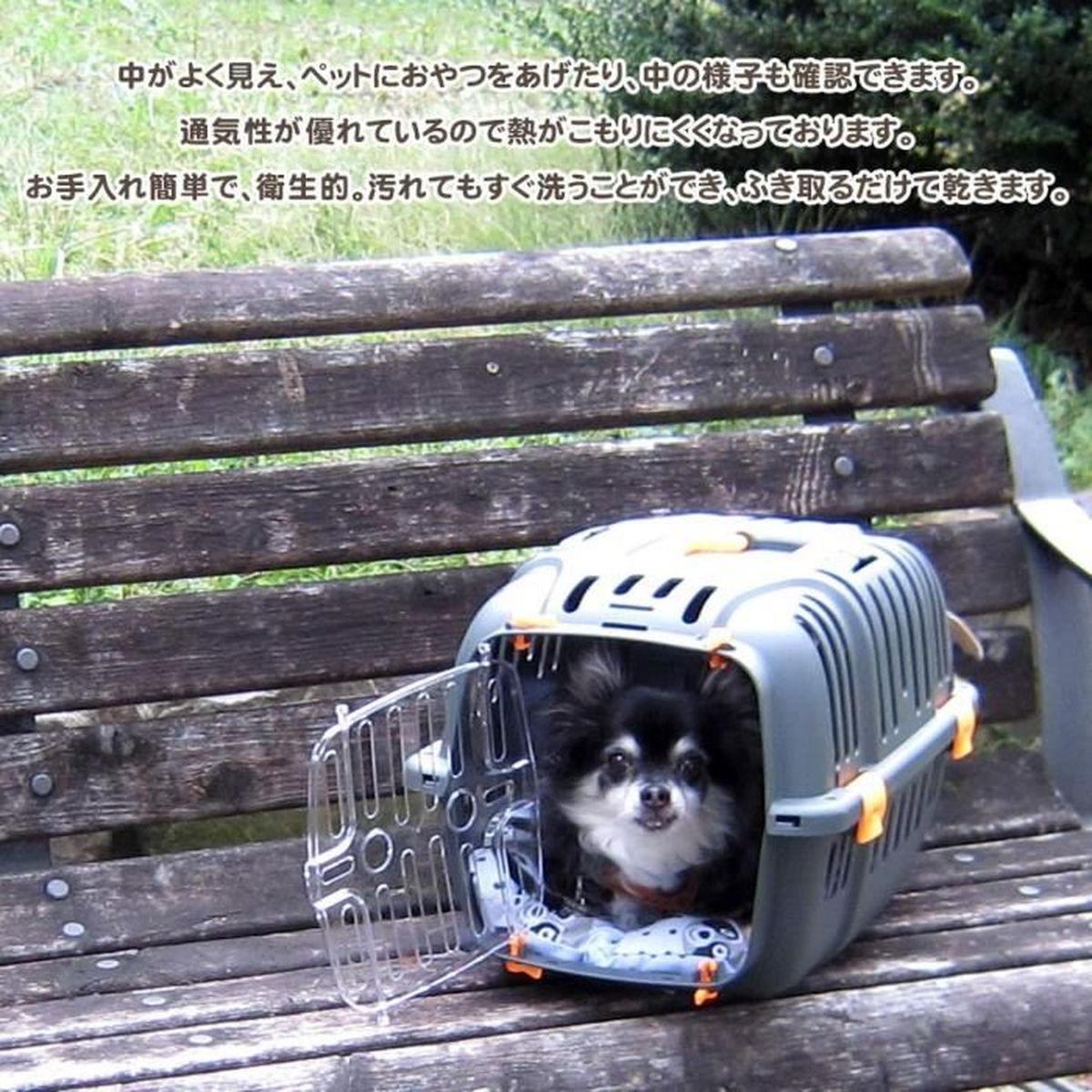 Ein kleiner Hund sitzt in einer Transportbox auf einer Holzbank.